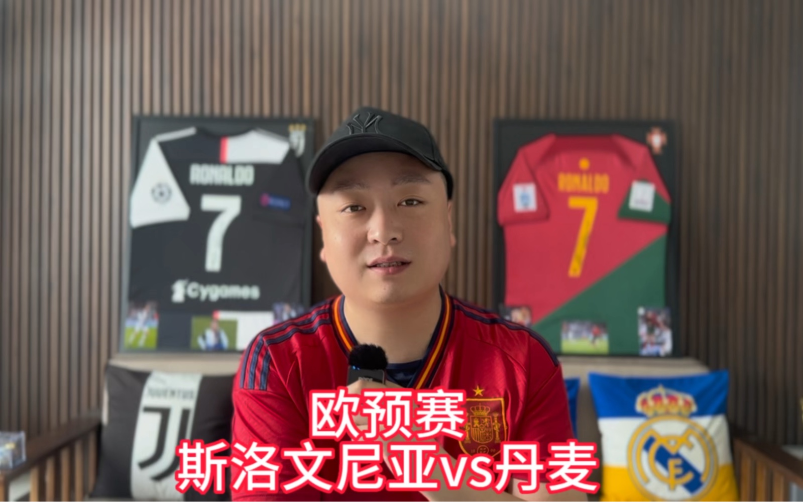 斯洛文尼亚小胜爱尔兰，欧预赛一分难求