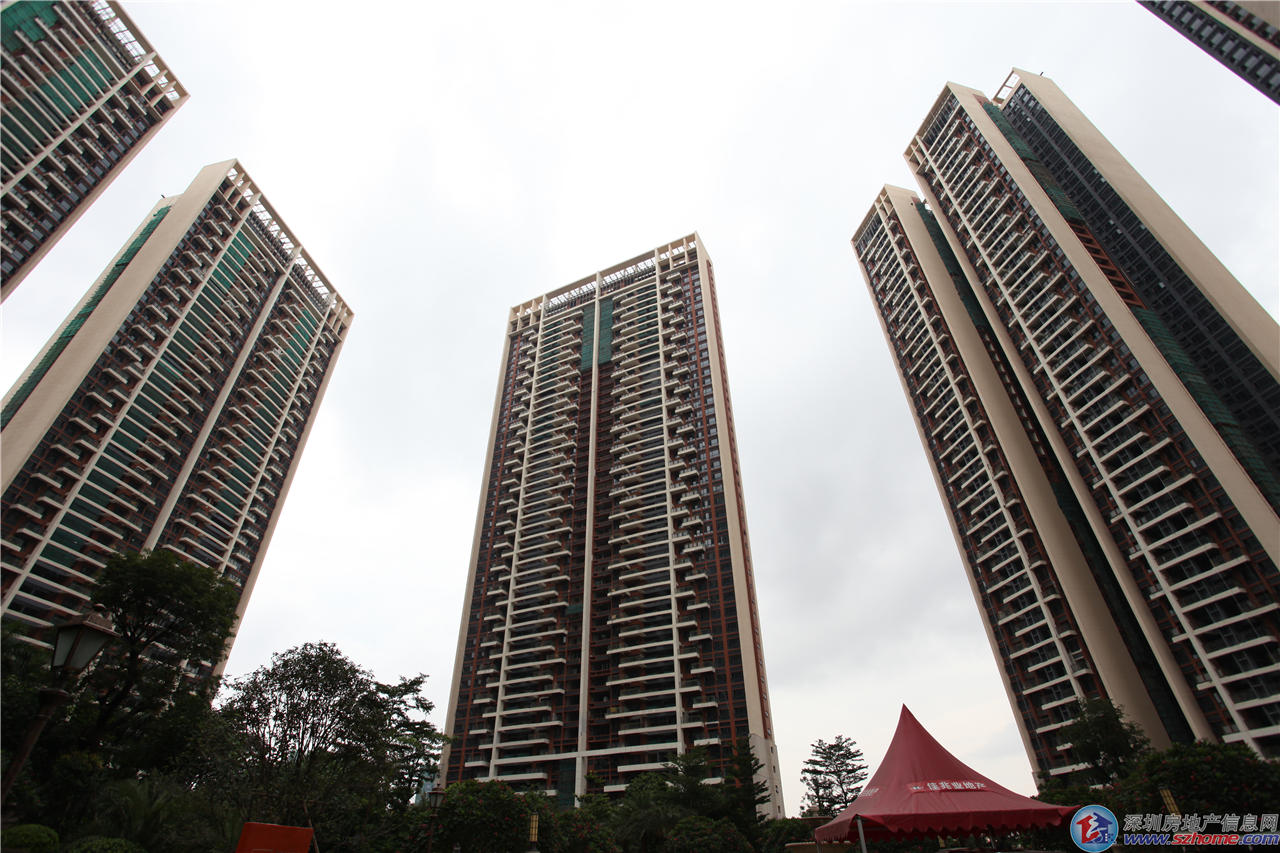 深圳佳兆业发挥稳定，稳步提升排名