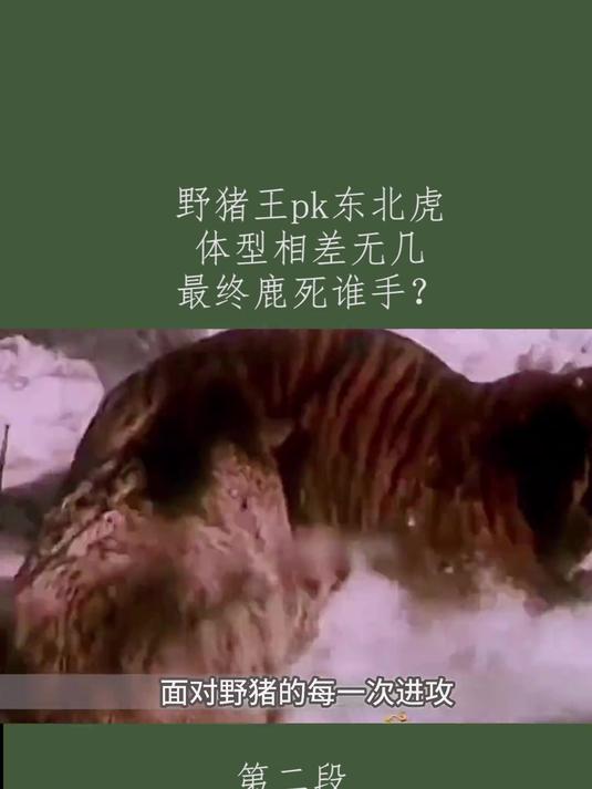 汉城全北将焦点转移到联赛，双方不分上下