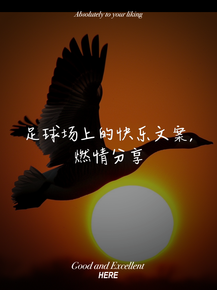 峥嵘申花球迷热情高涨，挥洒足球爱情燃情四射