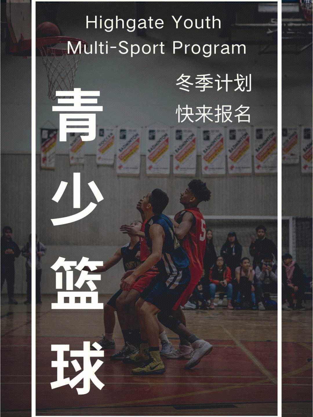 青少年篮球教育计划取得成功