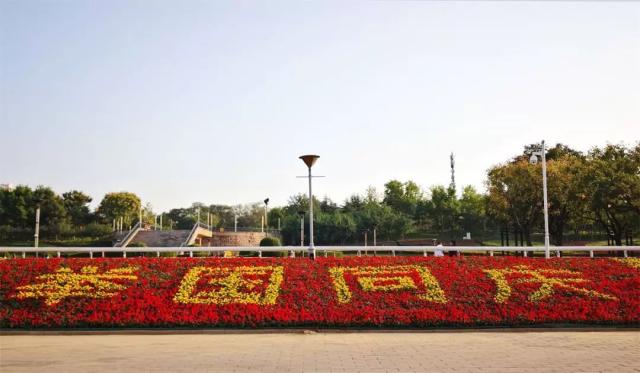 布局大赛：球场内外精彩纷呈